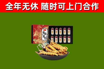 鹤壁回收冬虫夏草价格